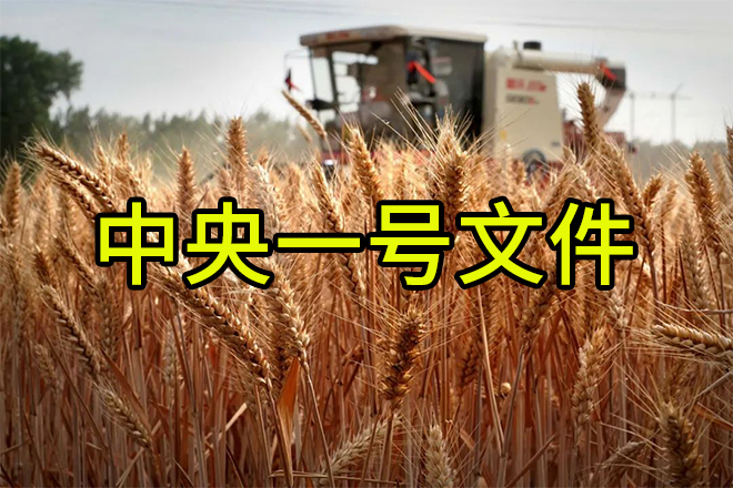 《转发》老赵说农资：解读2024中央一号文件，肥料生产企业这样干
